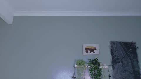 NICKI FOX  online show from 15, 1, 2026