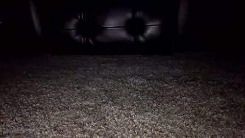 Snapshot of nickk2291 chatting on 6, 10, 2025 nickk2291 online show from 6, 10, 2025