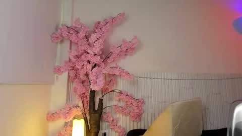 nicole_diaz7 online show from 1, 12, 2025