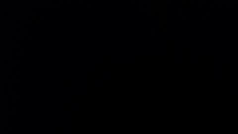 Nicole online show from 3, 12, 2025