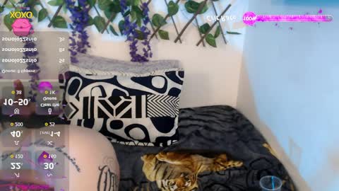 Nicolle ardila online show from 11, 4, 2026