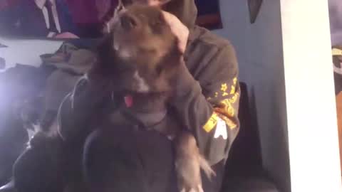 NicxDick online show from 6, 1, 2025