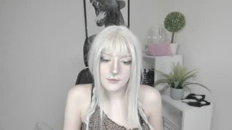 Nika online show from 24, 7, 2026