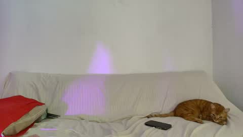 nikki_uwu online show from 2, 6, 2026