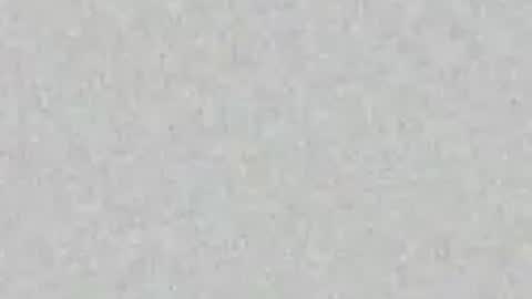 Nikki Ramone   online show from 21, 4, 2026