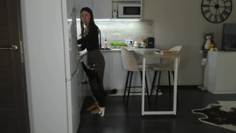 Bella online show from 5, 4, 2026