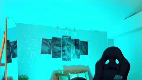 Nils online show from 20, 2, 2026