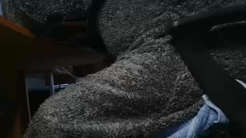 nineinchhard online show from 23, 1, 2025