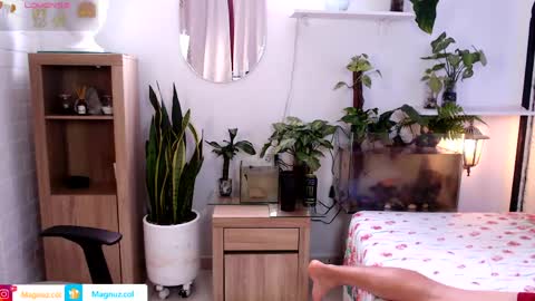 Snapshot of no_face_69 chatting on 30, 5, 2026 x online show from 30, 5, 2026