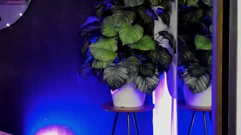 Noah  online show from 22, 3, 2026