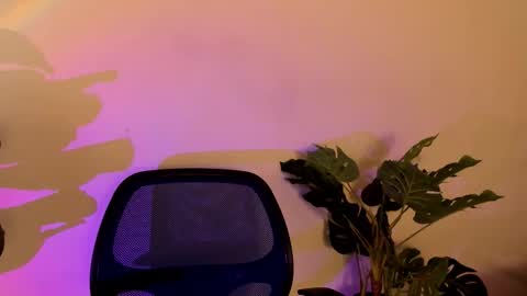 noah_dupont_ online show from 10, 11, 2025