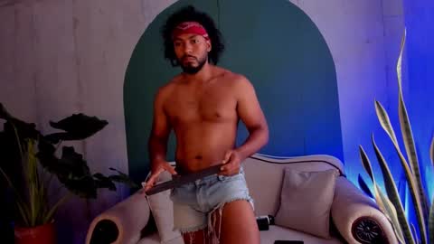 Noah online show from 16, 11, 2025