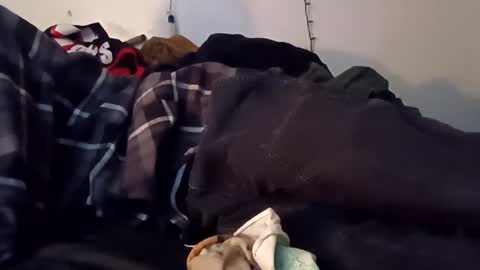 Snapshot of noah_wesley chatting on 10, 12, 2024 Noah Wesley online show from 10, 12, 2024