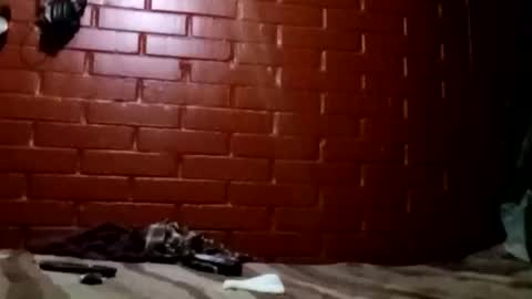 nocturnus1980 online show from 2, 2, 2026