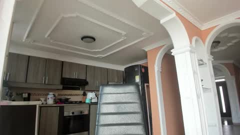  In instagram dayhannanoemi online show from 28, 2, 2025