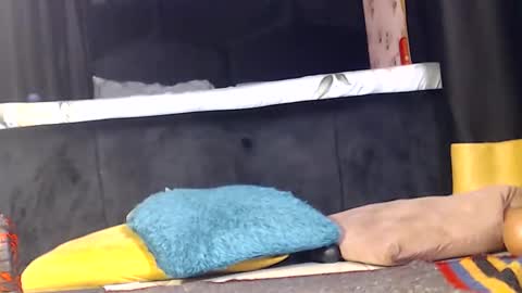 Noir Thats My Name Call Me Bablicious online show from 16, 12, 2024