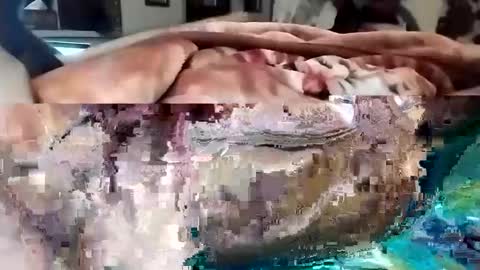 Snapshot of nooby942461 chatting on 1, 3, 2025 sim nib online show from 1, 3, 2025