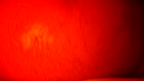 norbitomii online show from 24, 9, 2025