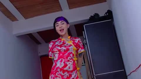 Nova kitty tx online show from 17, 4, 2026