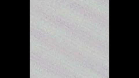 Novinhoo online show from 9, 3, 2026