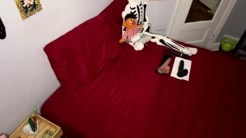 Nymphaea online show from 19, 4, 2026