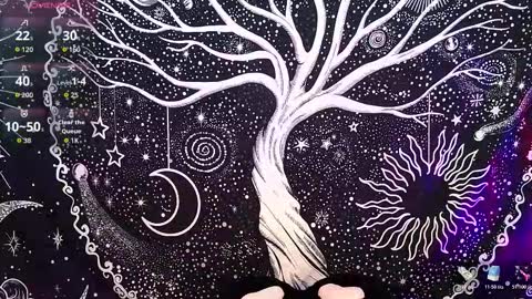 nyx murtualer online show from 16, 12, 2025