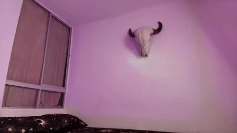 nyx murtualer online show from 28, 2, 2026