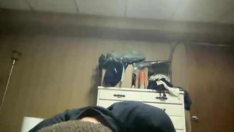 harvestmoon online show from 22, 3, 2026