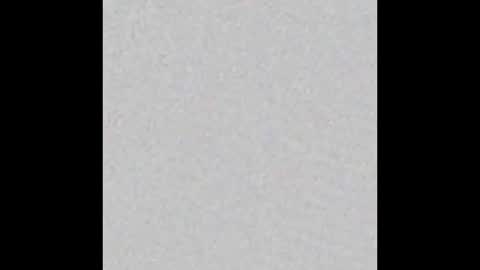 Obsidian stallion online show from 21, 12, 2025