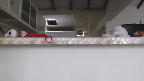 Val online show from 29, 1, 2025