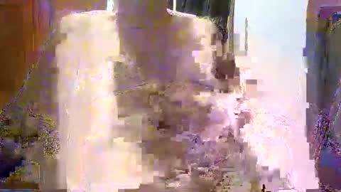 William online show from 21, 12, 2025