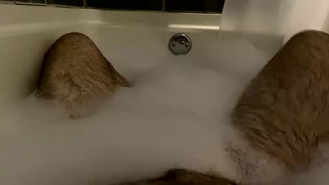 oldbones2 online show from 8, 12, 2024