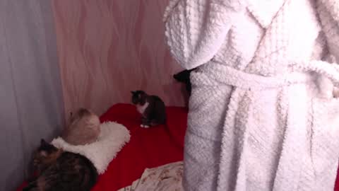 Olivia online show from 31, 12, 2024