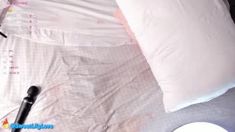 Snapshot of olsenspring chatting on 27, 2, 2025 Lily dont forget to follow me  good to see you all online show from 27, 2, 2025