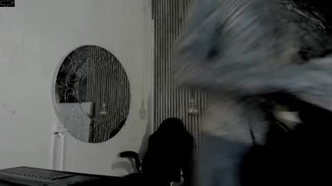     ... online show from 15, 2, 2026