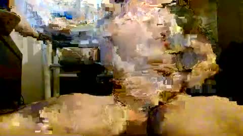 Snapshot of onlyfunnowchat chatting on 6, 1, 2026 onlyfunnowchat online show from 6, 1, 2026