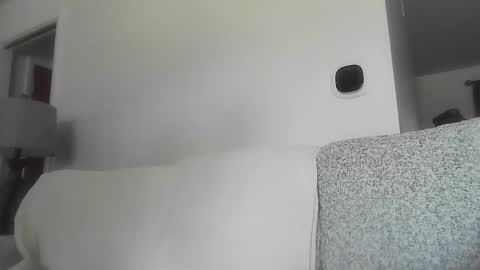 Snapshot of open_torequest chatting on 23, 2, 2026 open_torequest online show from 23, 2, 2026