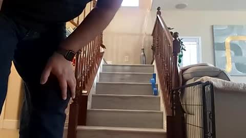 or2jrz online show from 15, 3, 2026