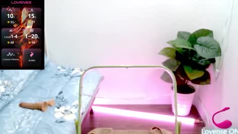 Candy online show from 25, 11, 2025