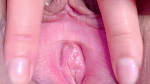 orchidekitty online show from 16, 5, 2026