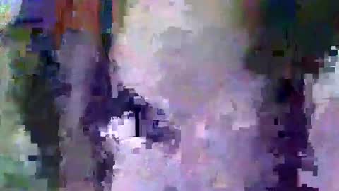 oretrail online show from 11, 2, 2025