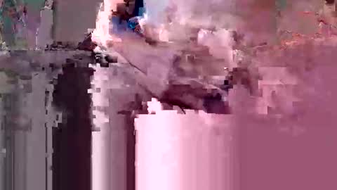 oretrail online show from 10, 3, 2026