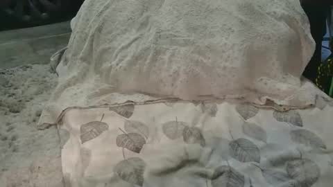 originalcali95 online show from 15, 3, 2026