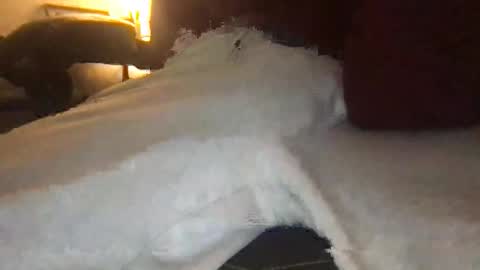 orvillewhitencocker online show from 23, 3, 2026