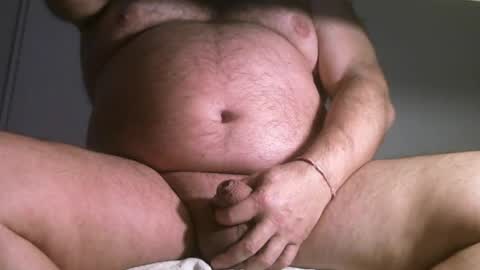 Oso Licencioso online show from 7, 4, 2026