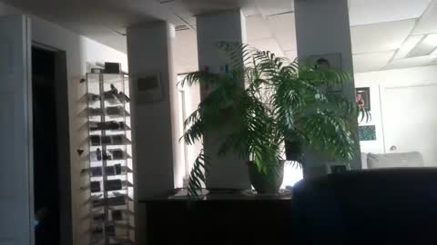 Vraiment la online show from 6, 12, 2024