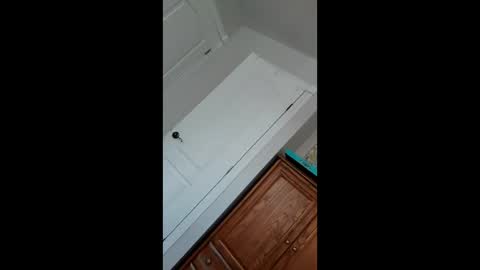 Pablo   Nina online show from 22, 1, 2025