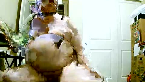 Bill online show from 8, 12, 2024