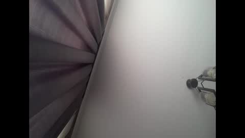   PALA online show from 3, 12, 2025