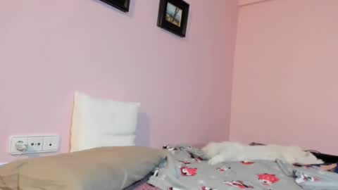 Merce   online show from 17, 1, 2025